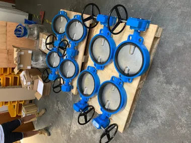 Wafer Pattern Butterfly Valves with EPDM Seat and Gearbox