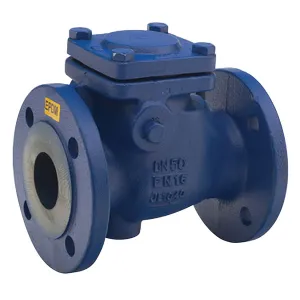Flanged PN16 Cast Iron Swing Check Valve