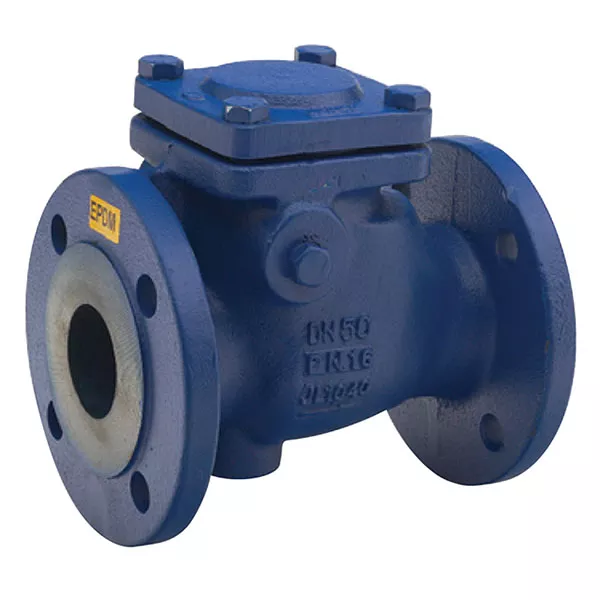 Flanged PN16 Cast Iron Swing Check Valve