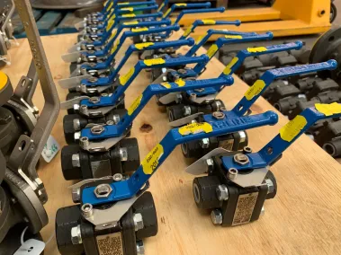 3 Piece Class 800 Ball Valves