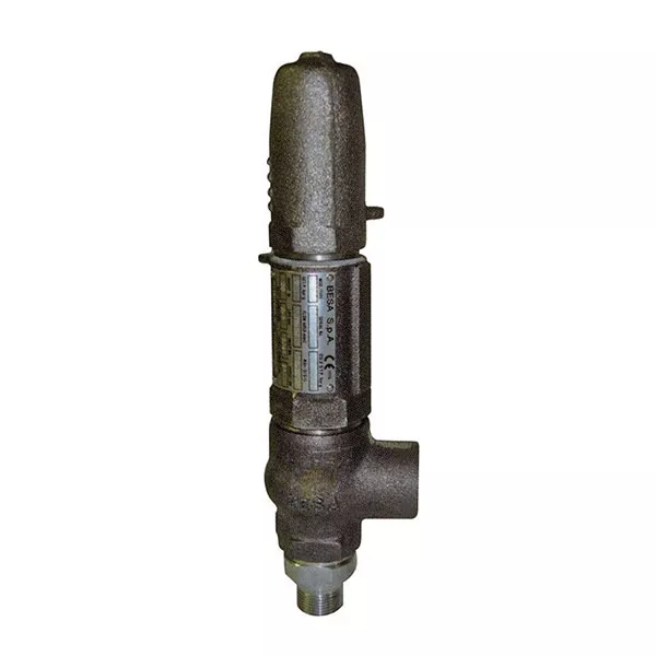 BSP Screwed Right Angle Screwed Safety Relief Valve