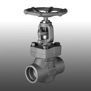 Forged Steel Screwed BSP or NPT Globe Valve