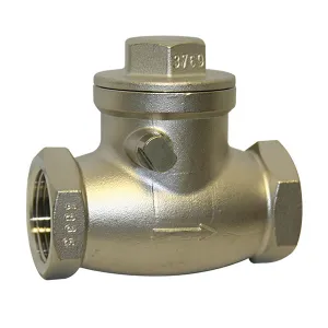 Stainless Steel BSP & NPT Screwed Swing Check Valve