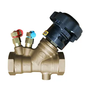 DZR BSP Brass Double Regulating Valves with Test Points
