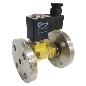 Stainless Steel Flanged PN16 2 Way Solenoid Valve with 24VDC Coil