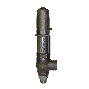 BSP Screwed Right Angle Screwed Safety Relief Valve