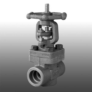 Forged Steel Screwed BSP or NPT Gate Valve